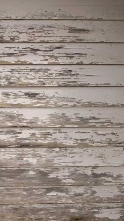 White Paint 8X14 Ultracloth ( 96 X 168 Inch ) Backdrop