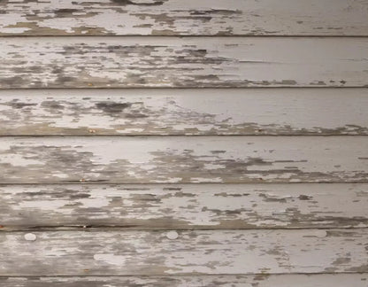 White Paint 8X6 Fleece ( 96 X 72 Inch ) Backdrop