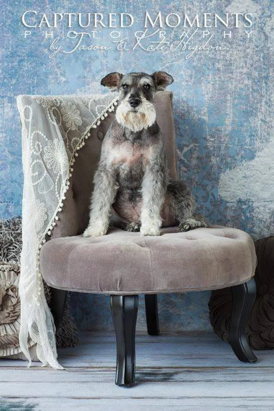 White Paint Backdrop