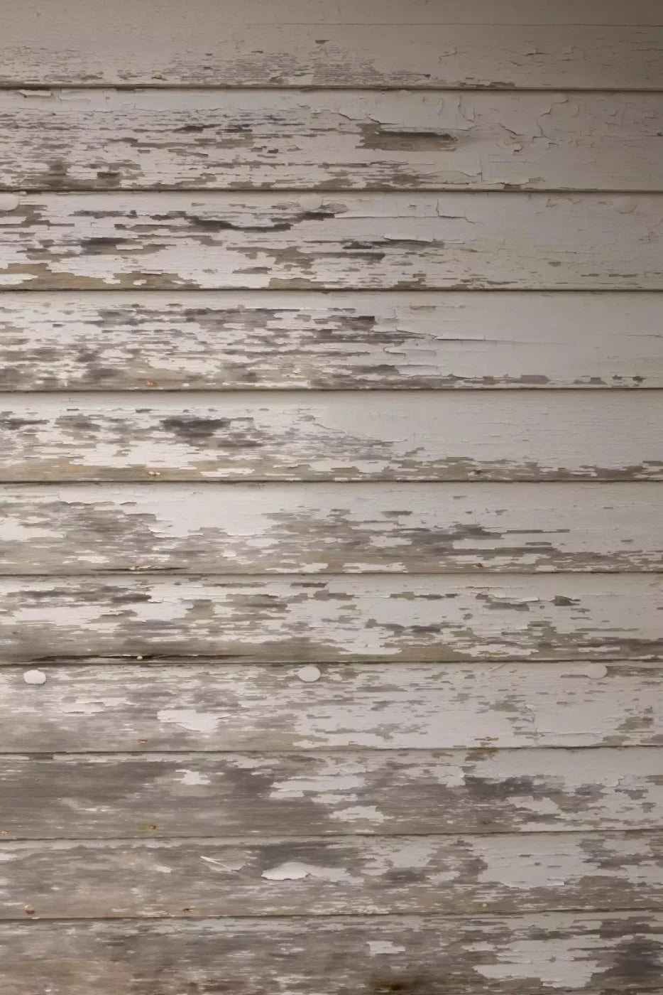 White Paint Backdrop