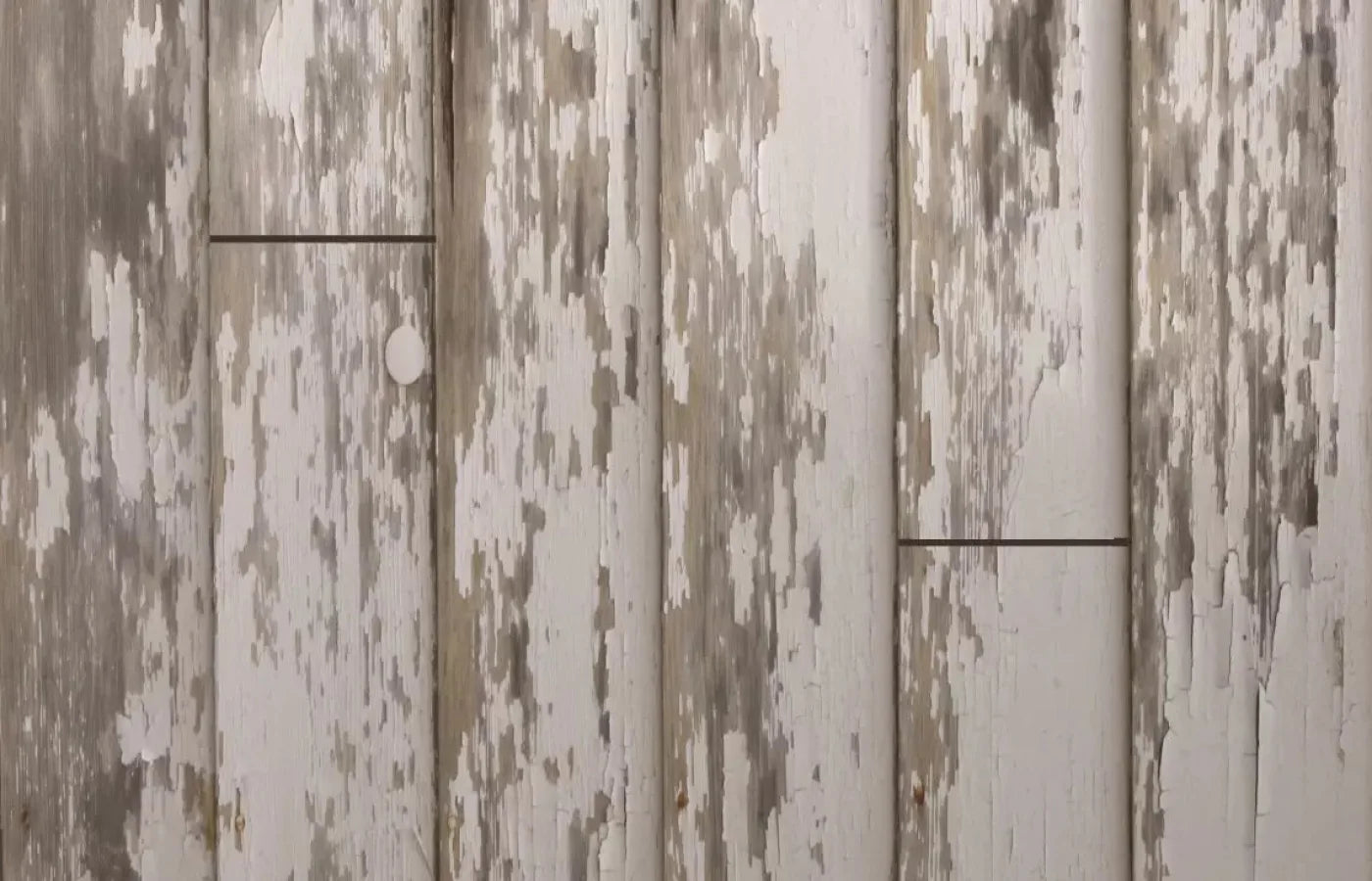 White Paint 3 12X8 Ultracloth ( 144 X 96 Inch ) Backdrop