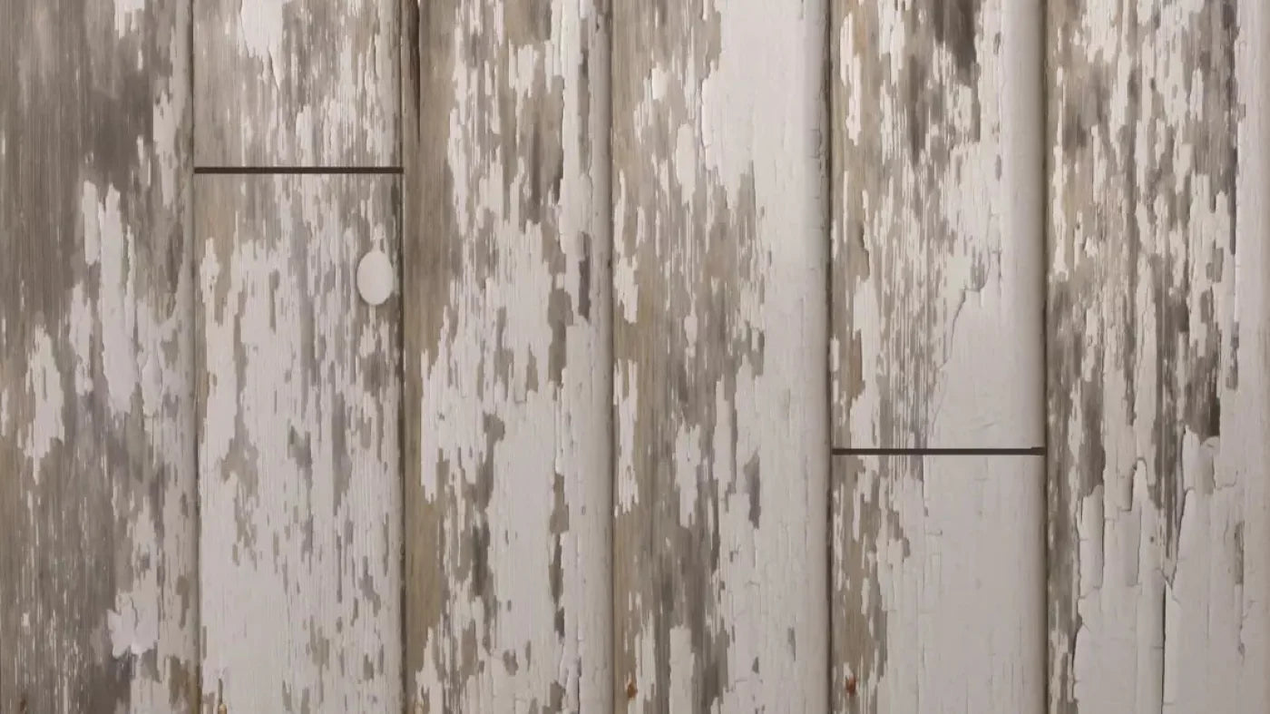 White Paint 3 14X8 Ultracloth ( 168 X 96 Inch ) Backdrop
