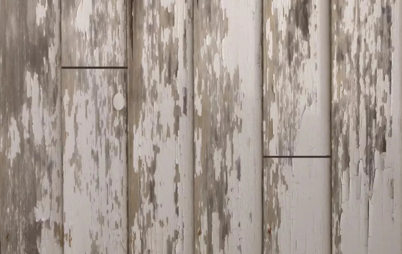 White Paint 3 16X10 Ultracloth ( 192 X 120 Inch ) Backdrop