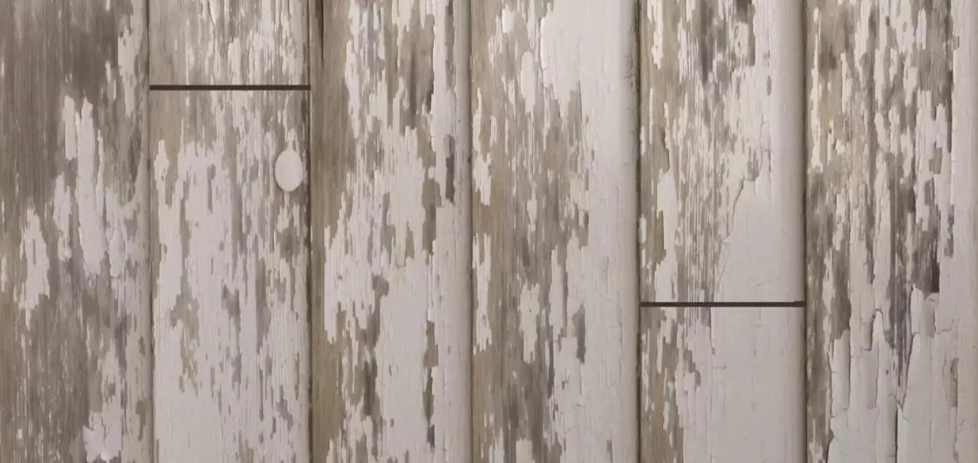 White Paint 3 16X8 Ultracloth ( 192 X 96 Inch ) Backdrop