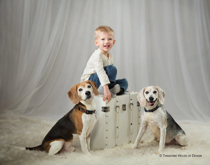 White Sheers Backdrop