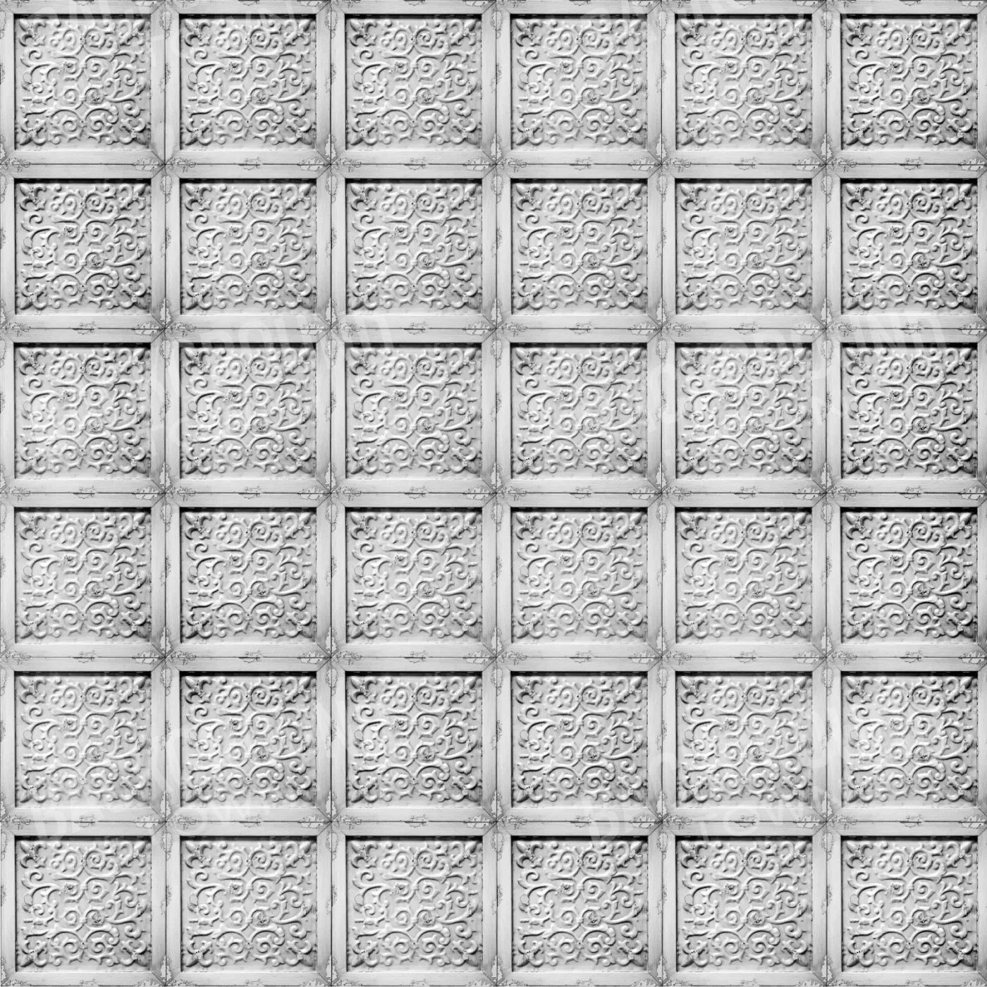 Whitetin 10X10 Ultracloth ( 120 X Inch ) Backdrop