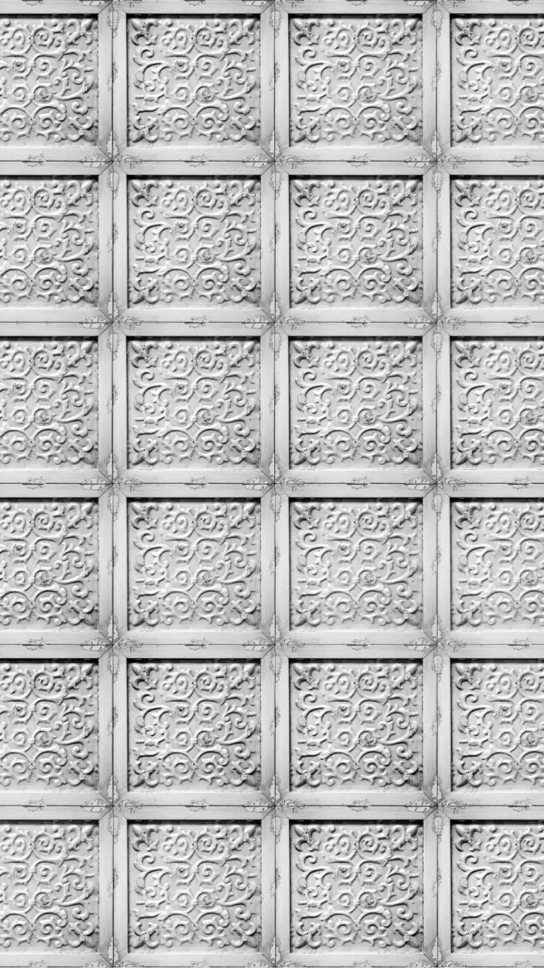 Whitetin 8X14 Ultracloth ( 96 X 168 Inch ) Backdrop