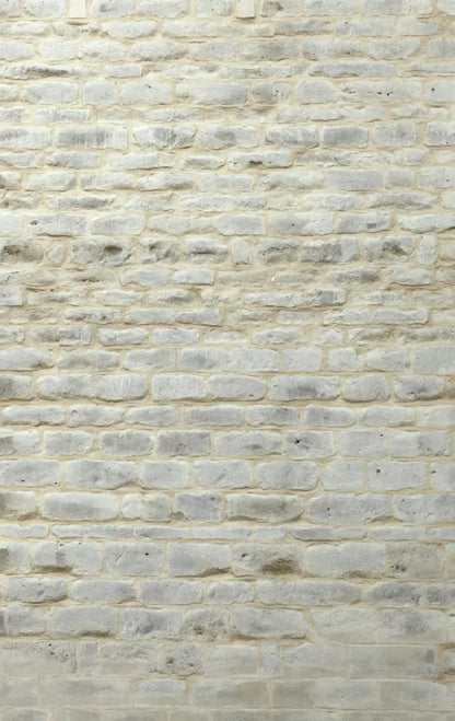 White Washed 10X16 Ultracloth ( 120 X 192 Inch ) Backdrop