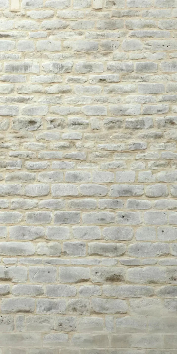 White Washed 10X20 Ultracloth ( 120 X 240 Inch ) Backdrop