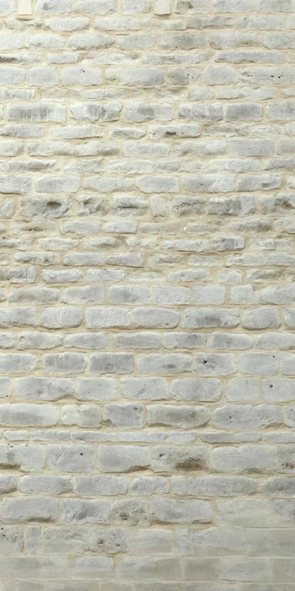 White Washed 10X20 Ultracloth ( 120 X 240 Inch ) Backdrop