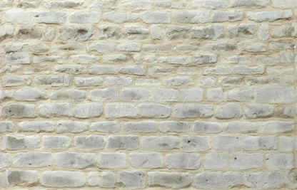 White Washed 12X8 Ultracloth ( 144 X 96 Inch ) Backdrop