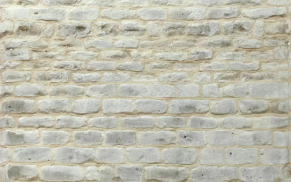 White Washed 14X9 Ultracloth ( 168 X 108 Inch ) Backdrop