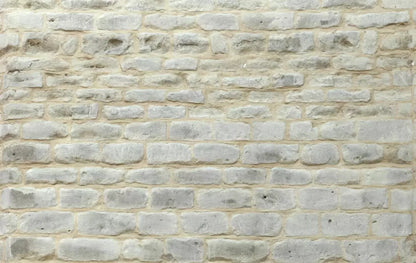 White Washed 16X10 Ultracloth ( 192 X 120 Inch ) Backdrop