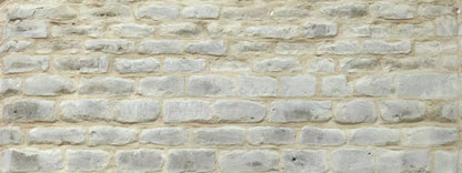 White Washed 20X8 Ultracloth ( 240 X 96 Inch ) Backdrop