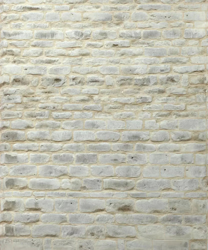 Beige Brick and Stone Backdrop for Photography