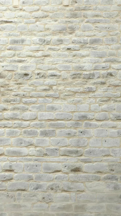 White Washed 8X14 Ultracloth ( 96 X 168 Inch ) Backdrop