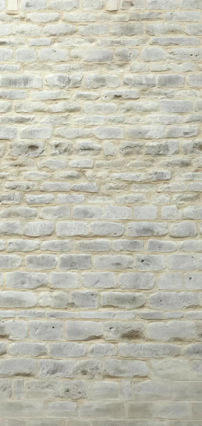 White Washed 8X16 Ultracloth ( 96 X 192 Inch ) Backdrop