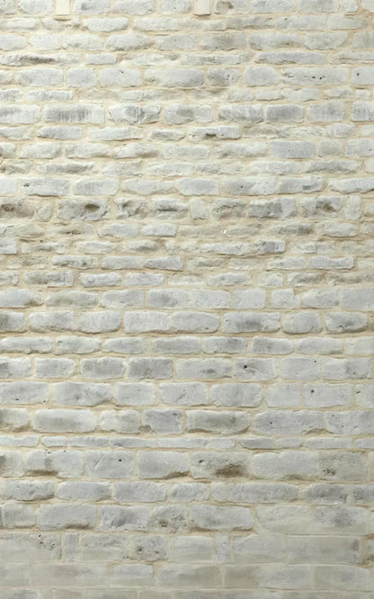 White Washed 9X14 Ultracloth ( 108 X 168 Inch ) Backdrop