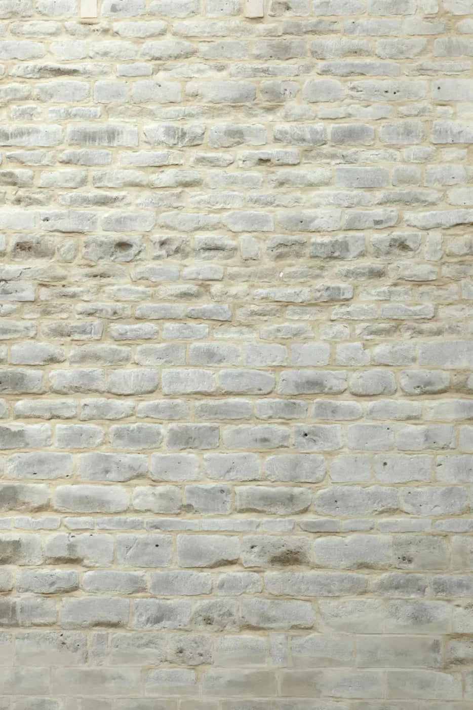 White Washed Backdrop