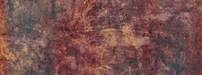 Gypsy 20X8 Ultracloth ( 240 X 96 Inch ) Backdrop