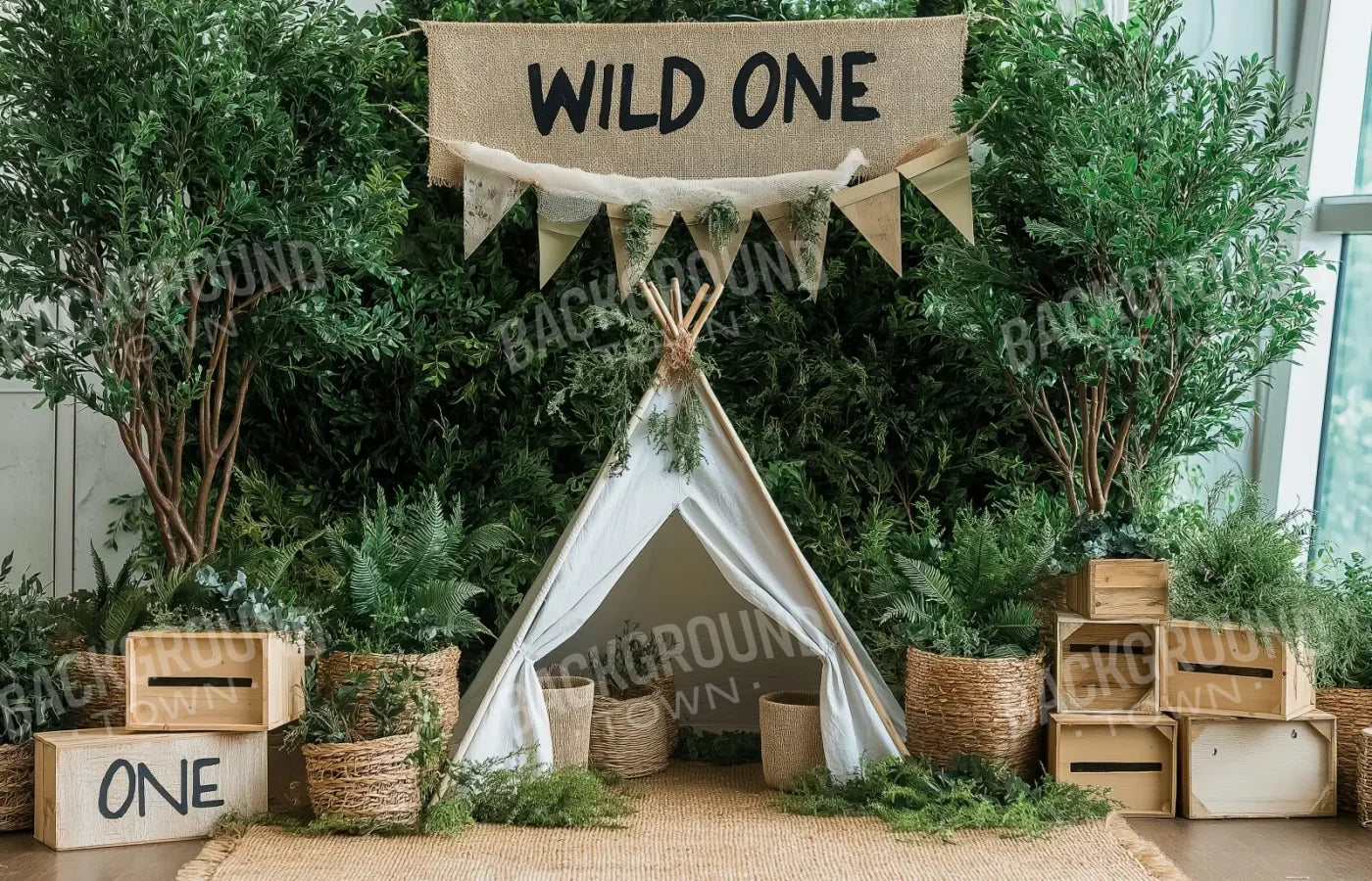 Wild One 14’x9’ UltraCloth (168 x 108 inch) Backdrop