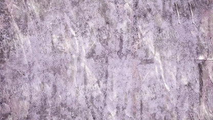 Winkle 14X8 Ultracloth ( 168 X 96 Inch ) Backdrop