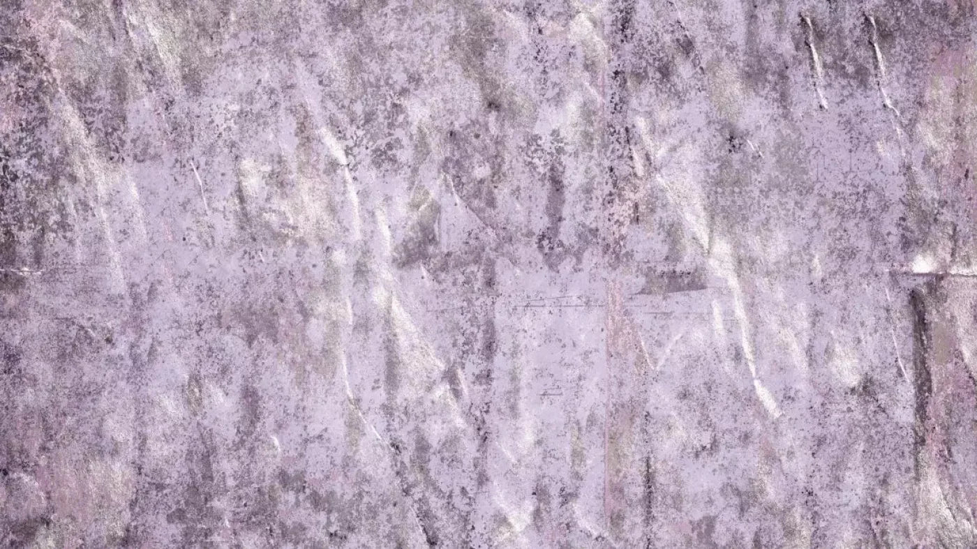 Winkle 14X8 Ultracloth ( 168 X 96 Inch ) Backdrop