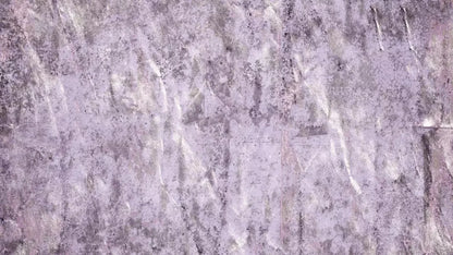 Winkle 14X8 Ultracloth ( 168 X 96 Inch ) Backdrop