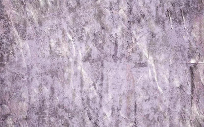 Winkle 14X9 Ultracloth ( 168 X 108 Inch ) Backdrop