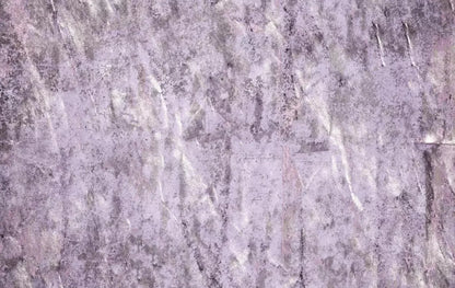 Winkle 16X10 Ultracloth ( 192 X 120 Inch ) Backdrop