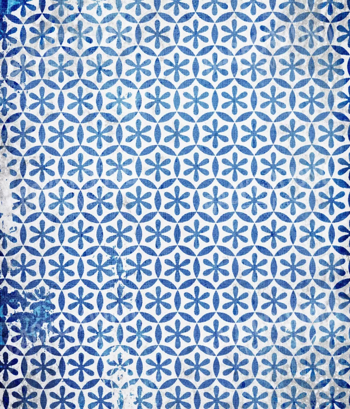 Winter Blues 10X12 Ultracloth ( 120 X 144 Inch ) Backdrop