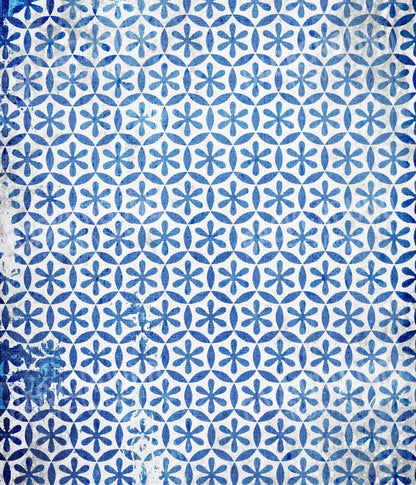 Winter Blues 10X12 Ultracloth ( 120 X 144 Inch ) Backdrop