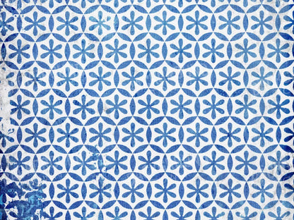 Winter Blues 10X8 Fleece ( 120 X 96 Inch ) Backdrop