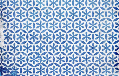 Winter Blues 12X8 Ultracloth ( 144 X 96 Inch ) Backdrop