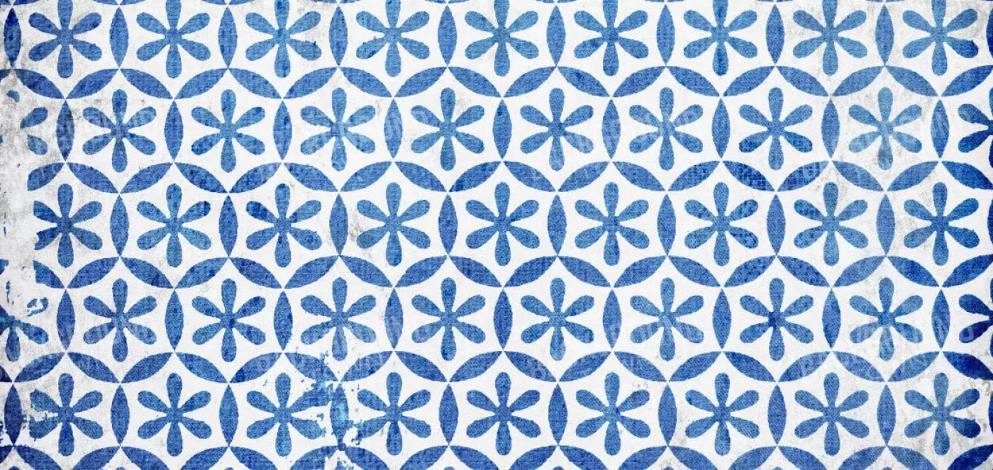 Winter Blues 16X8 Ultracloth ( 192 X 96 Inch ) Backdrop