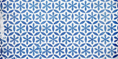 Winter Blues 20X10 Ultracloth ( 240 X 120 Inch ) Backdrop