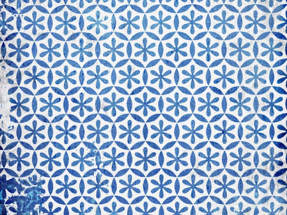 Winter Blues 68X5 Fleece ( 80 X 60 Inch ) Backdrop