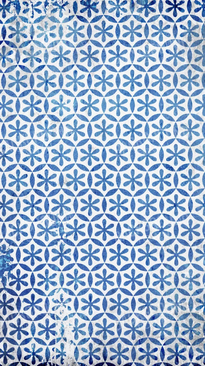 Winter Blues 8X14 Ultracloth ( 96 X 168 Inch ) Backdrop