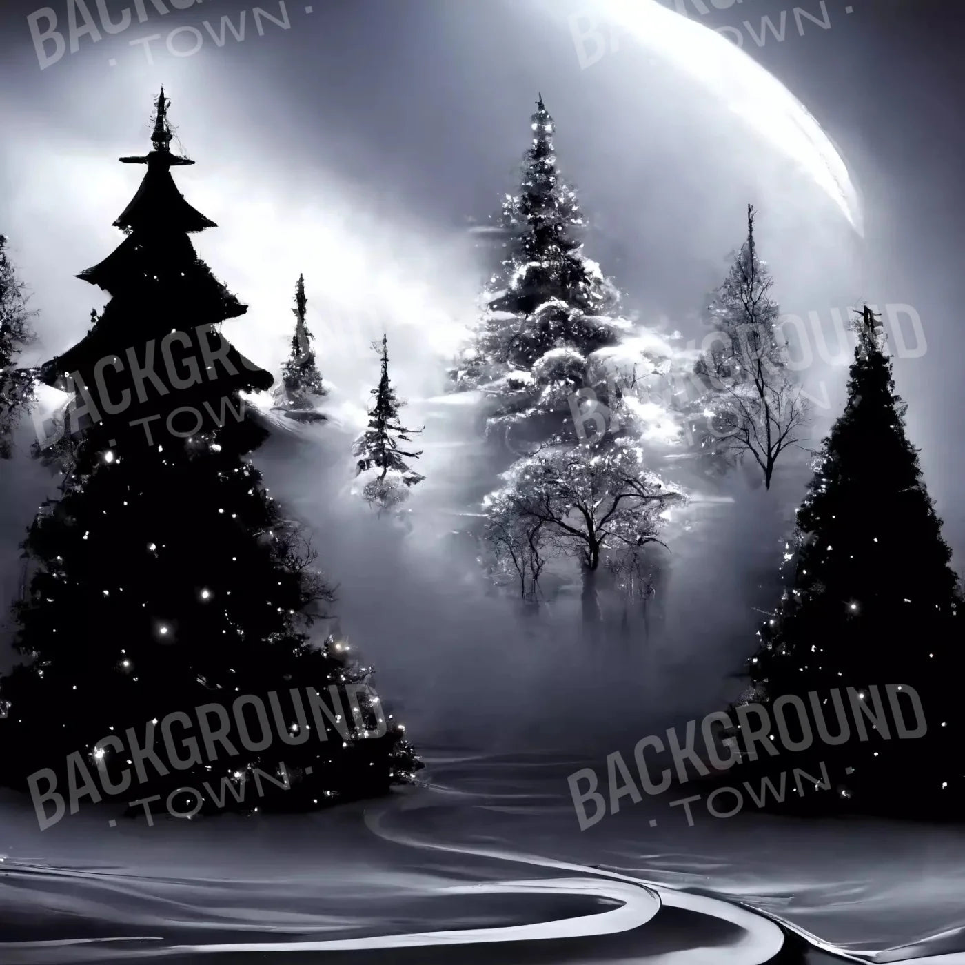 Winter Night 10X10 Ultracloth ( 120 X Inch ) Backdrop