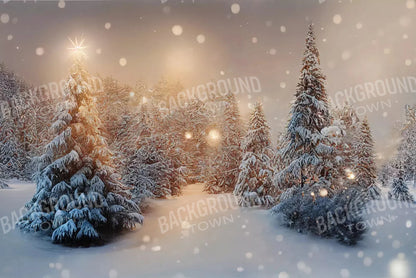 Winter Snowfall 8X5 Ultracloth ( 96 X 60 Inch ) Backdrop