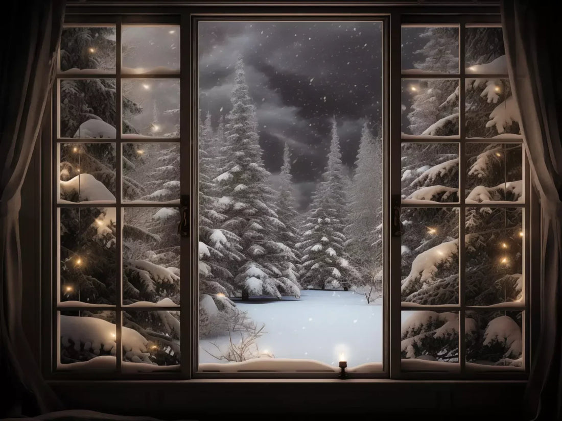 Winter Window 2 68X5 Fleece ( 80 X 60 Inch ) Backdrop