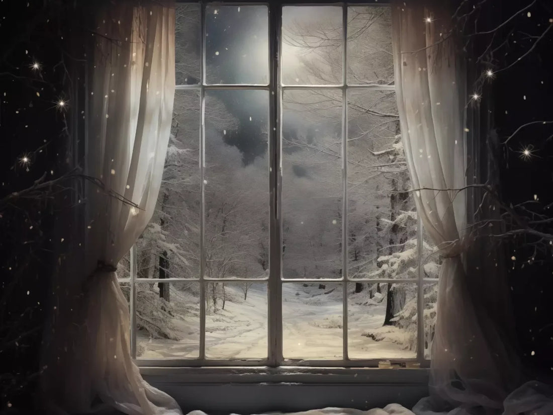 Winter Window 1 Horizontal 68X5 Fleece ( 80 X 60 Inch ) Backdrop