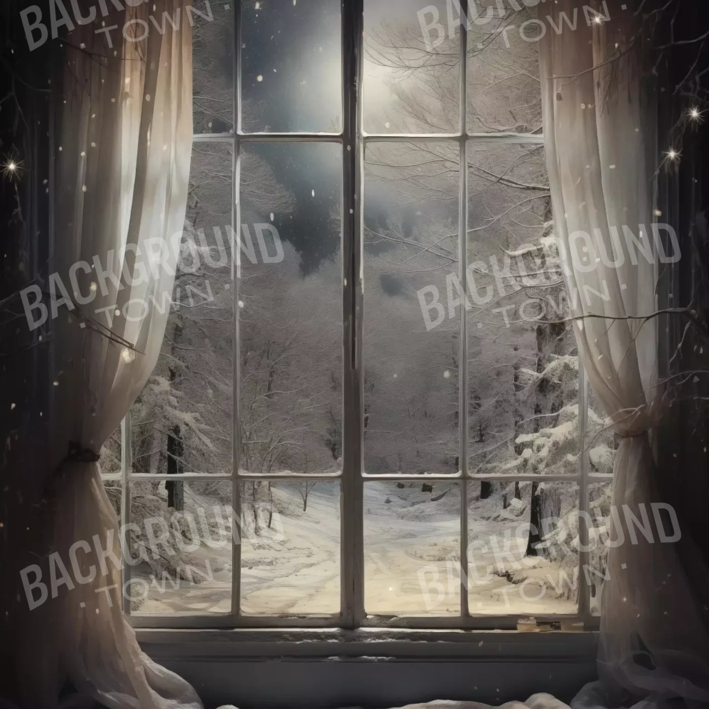 Winter Window 1 Vertical 10X10 Ultracloth ( 120 X Inch ) Backdrop