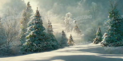 Winter Wonderland 1 20X10 Ultracloth ( 240 X 120 Inch ) Backdrop