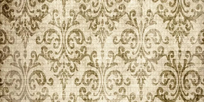 Wise 20X10 Ultracloth ( 240 X 120 Inch ) Backdrop