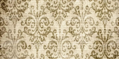 Wise 20X10 Ultracloth ( 240 X 120 Inch ) Backdrop
