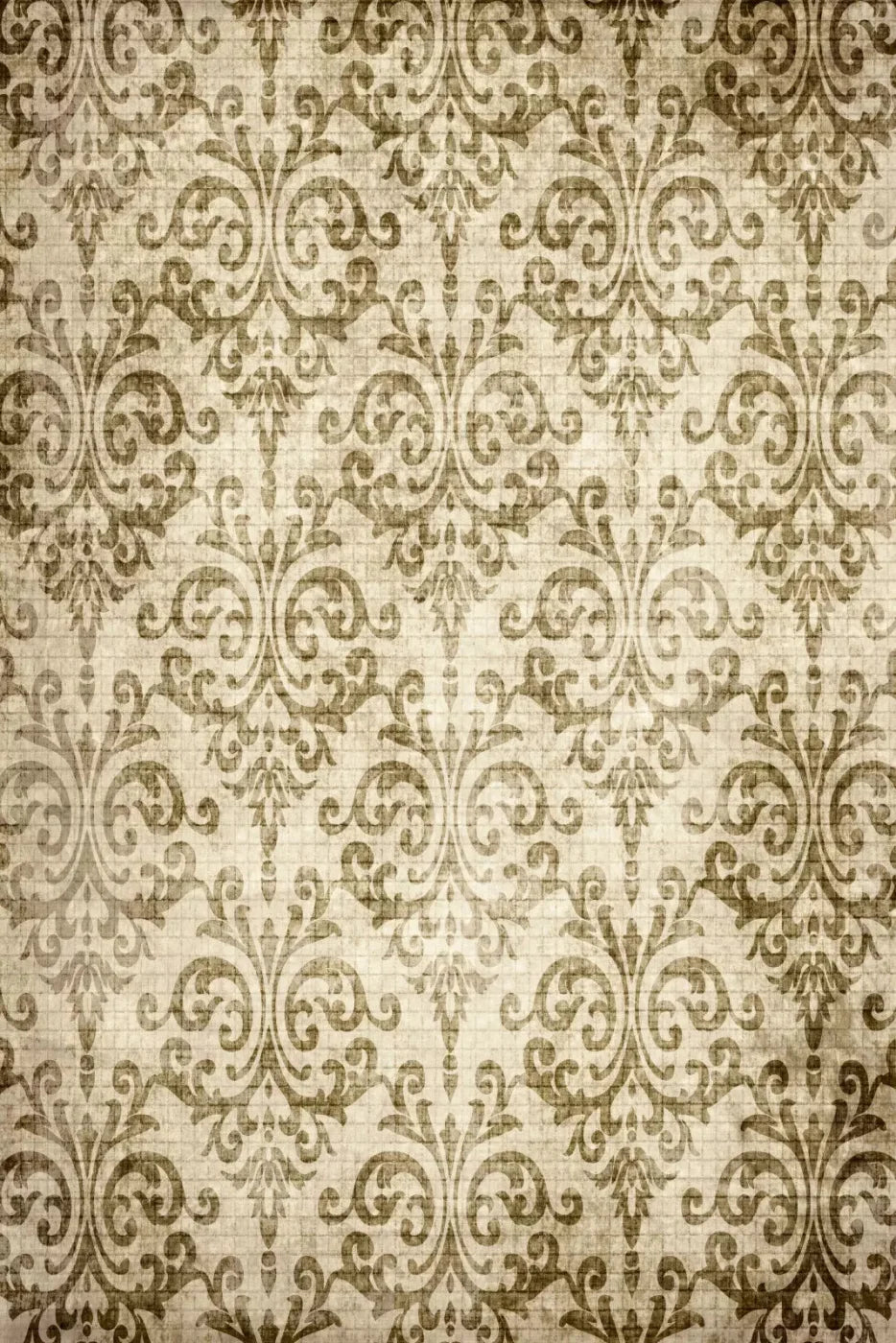 Wise 5X8 Ultracloth ( 60 X 96 Inch ) Backdrop