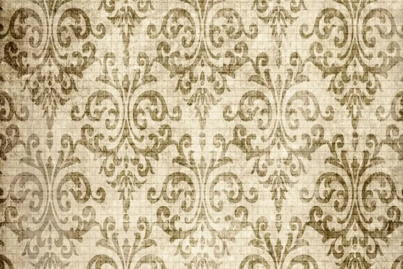 Wise 8X5 Ultracloth ( 96 X 60 Inch ) Backdrop