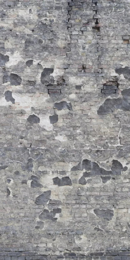 Wonderwall 10X20 Ultracloth ( 120 X 240 Inch ) Backdrop