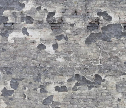 Wonderwall 12X10 Ultracloth ( 144 X 120 Inch ) Backdrop